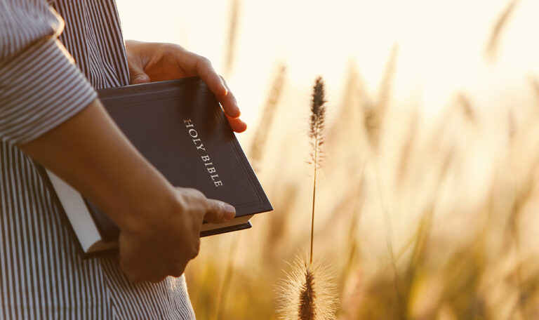 Ministerio Evangelistico